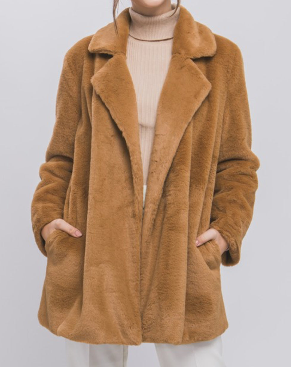 Fabulous Teddy Coat