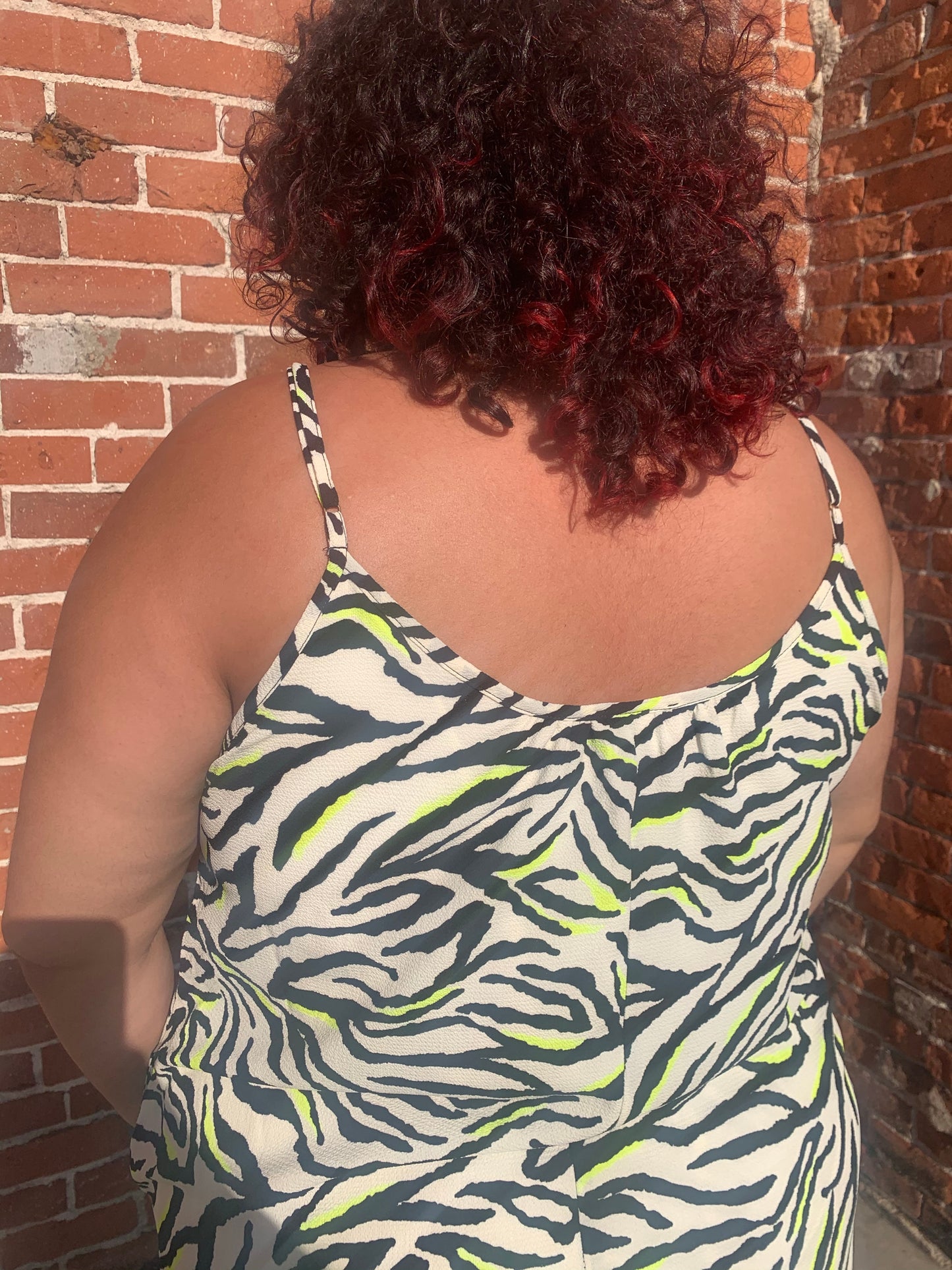 Zebra Curvy Dress