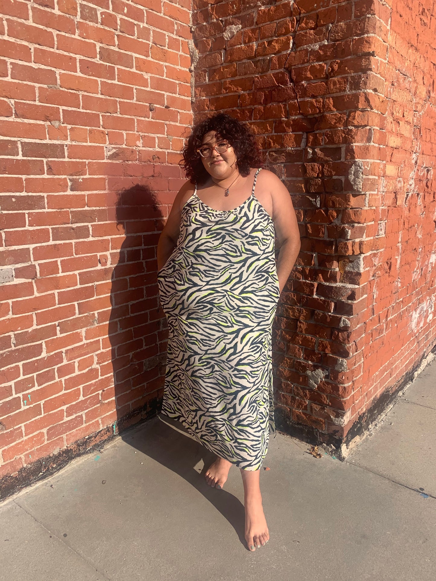 Zebra Curvy Dress
