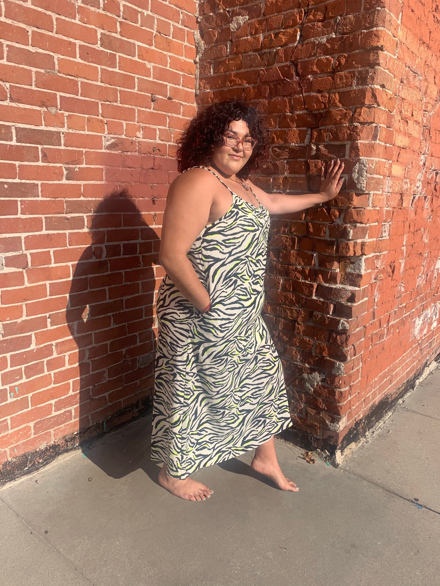 Zebra Curvy Dress